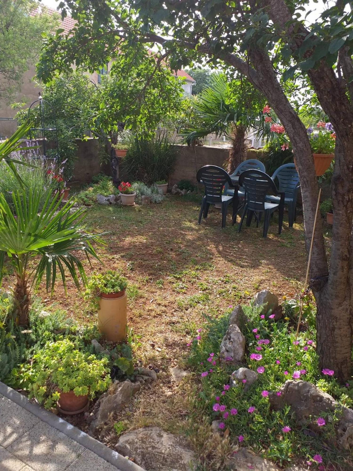 Rural Apartment Ante Drnis Exterior photo